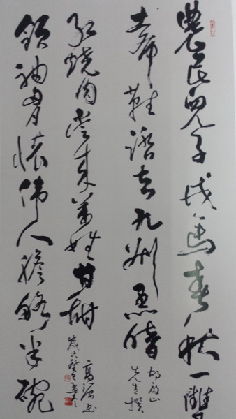 农民儿子