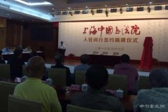 上海中国书法院落户闵行，重学术欲推广汉字手写体