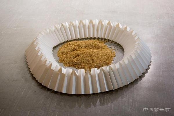 上海双年展策展人:在你内心唤起一片问题的森林,展览就成功