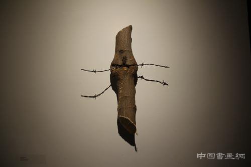 木木美术馆2016春季展览“林间空地” 模糊艺术界限 呈现多元魅力