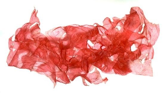 戴丹丹、黄旭双个展亮相艺·凯旋艺术空间