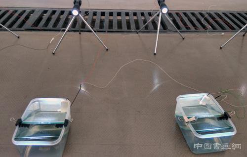 青年雕塑的五个“斜面” 亚洲艺术中心推新雕塑群展