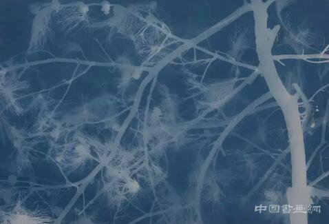 张大力个展“恒久与无常”：两组新作展出 两个极点在这里相遇