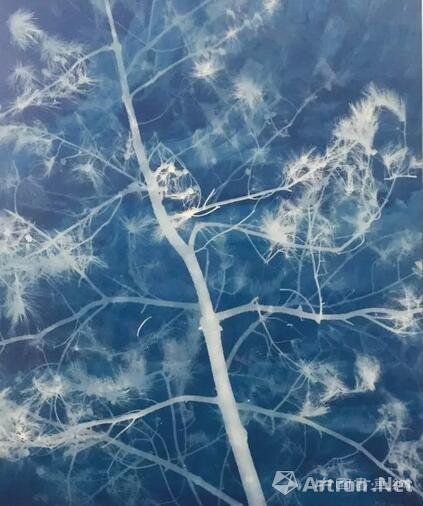 张大力个展“恒久与无常”：两组新作展出 两个极点在这里相遇