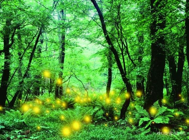 中韩当代艺术20人展