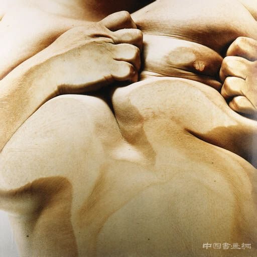 珍妮·萨维尔(Jenny Saville, 1970-)