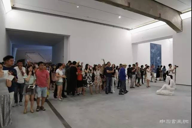 苏珊·贝宁森：张大力的独特之处在于他评论社会的方式