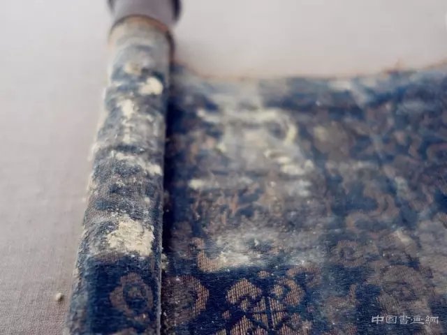 第三记：始作俑“菌”，原形毕露