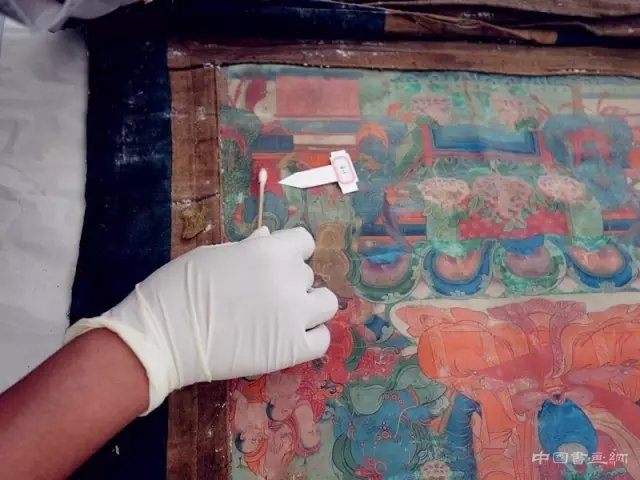 第三记：始作俑“菌”，原形毕露