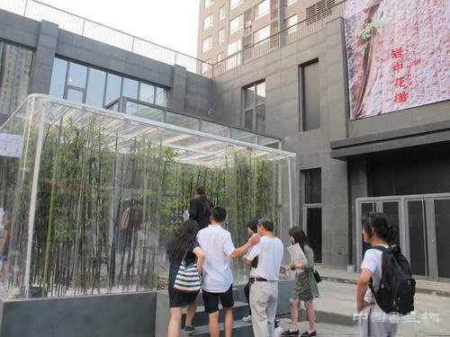 “岩中花树”艺术展里的“微园” 让现代化都市回顾自然