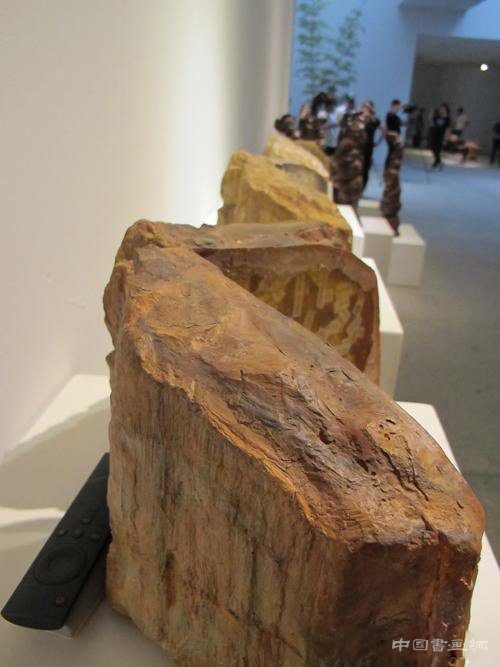 “岩中花树”艺术展里的“微园” 让现代化都市回顾自然