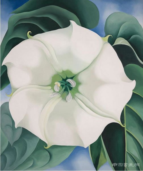 乔治亚•奥姬芙大型回顾展亮相伦敦泰特现代美术馆