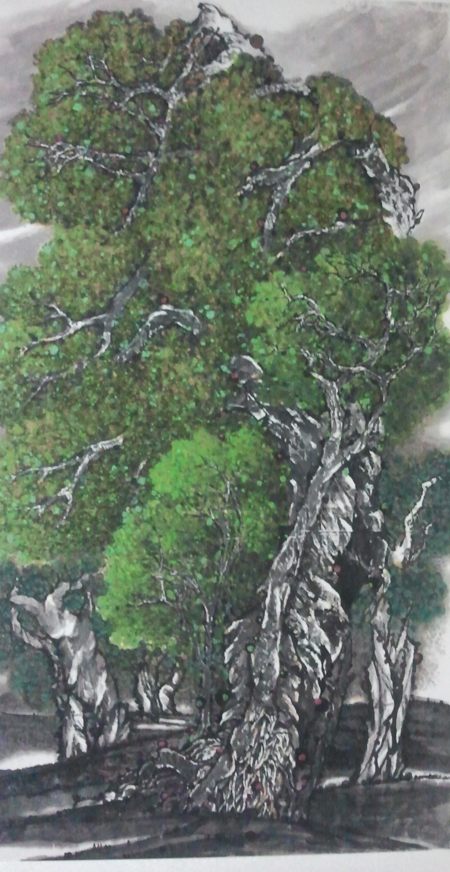 盛夏胡杨