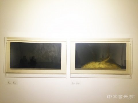 跨媒介的人性剖析 “影射：幕布上的实像”在山艺术开幕