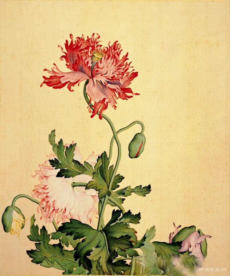 从宋代院体画看花鸟画的发展