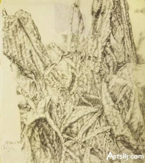 “中国当代艺术年鉴2014”提名艺术家蔡锦 作品《美人蕉》