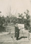 1950年代初的刘海粟与上海美专