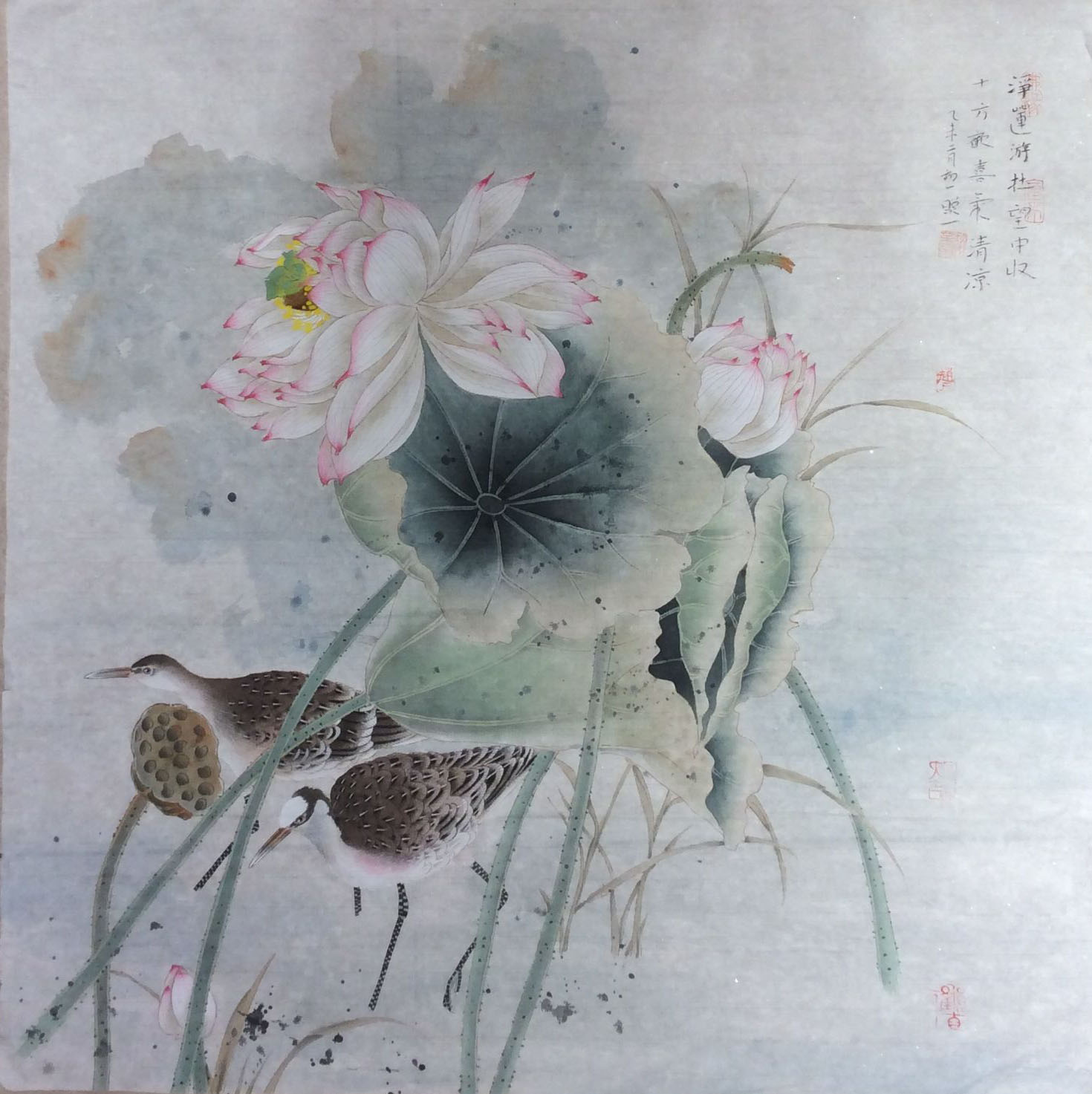 赵松菊作品一