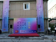 “蜕变”2016第四届中意当代艺术双年展在京隆重开幕
