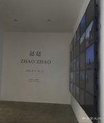 你看到了什么？——当代唐人艺术中心赵赵同名个展开幕