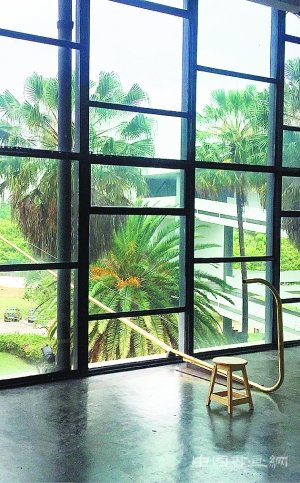 圣保罗双年展:艺术家对政治动荡作出回应