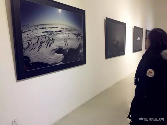 “游”——周笔畅摄影展在798悦美术馆开幕