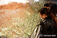 杭州雷峰塔不堪硬币之累 古迹成钱山