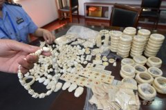 <b>中国象牙禁贸计划或因行业阻力推迟公布</b>