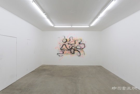 《大地魔术师》 137×206 3D地图、夜光喷漆 2016
德萨梁半个展:让风景都动起来