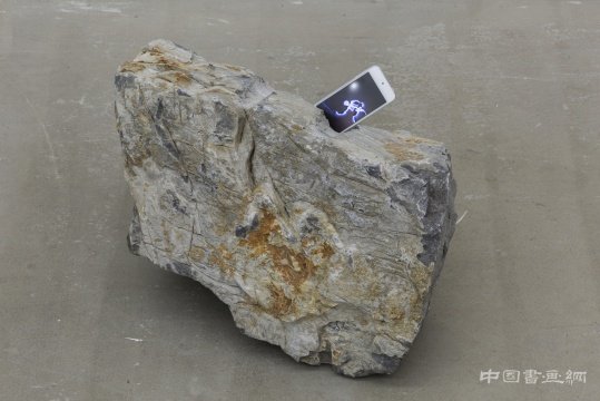 《月球之旅·留念》00’14’’ 单频道录像 2015
德萨梁半个展:让风景都动起来