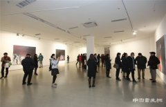 “浮光·浮生——许东生个展”在今日美术馆2号馆2层开幕