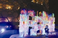 新媒体艺术绽放 “有界无边 美术馆之夜”