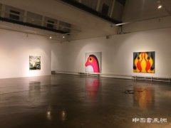绘画的砥砺 “极光”作品展于索卡艺术·北京举办
