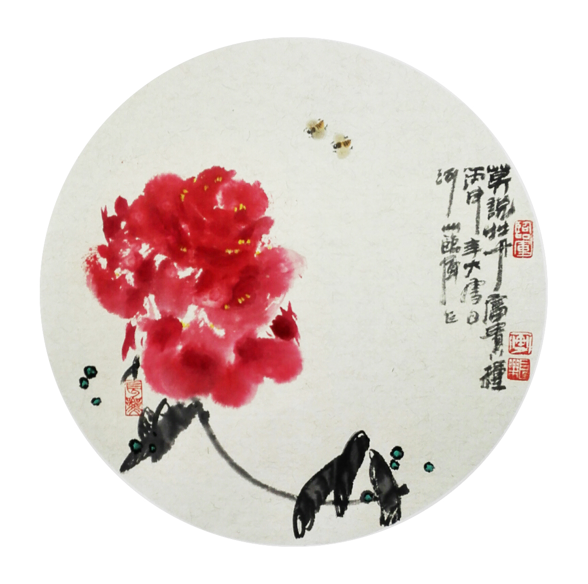 <b>牡丹</b>
