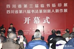 四川省第三届临书临印展和第八届书法篆刻新人新作展出
