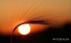 糟糕的画家总是彼此欣赏