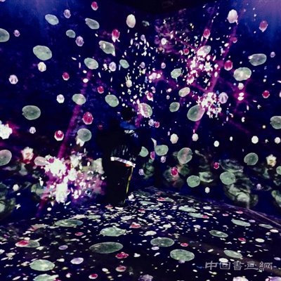 新《印象莫奈：时光映迹艺术展》在杭展出