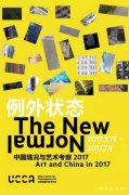 例外状态——中国境况与艺术考察