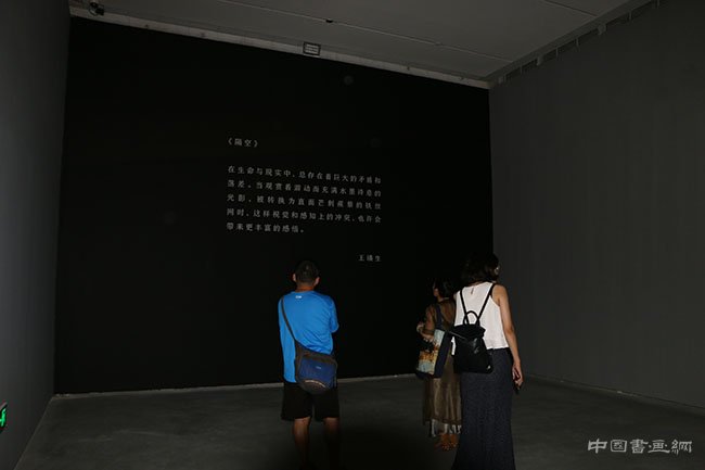“王璜生:边界/空间”亮相北京民生现代美术馆