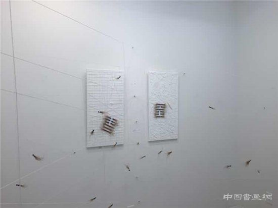 蒋明宇和张磊美国当代艺术双人展