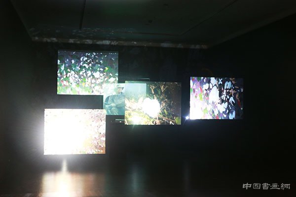 “观物”展——王克举关于自然的展示与思考