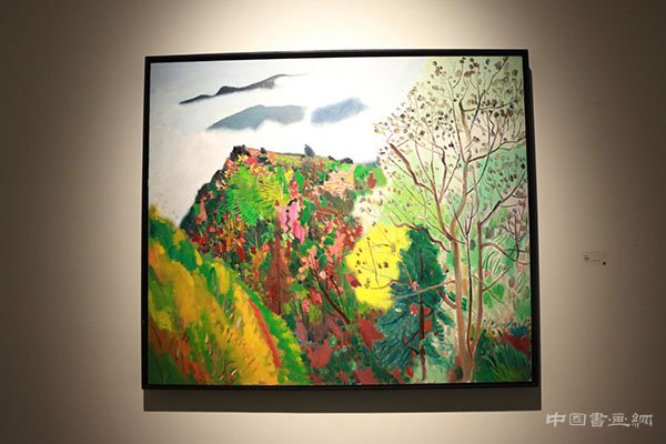 “观物”展——王克举关于自然的展示与思考