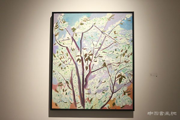 “观物”展——王克举关于自然的展示与思考
