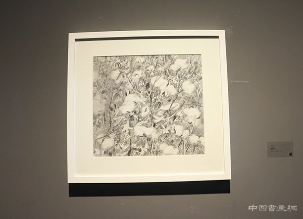“观物”展——王克举关于自然的展示与思考