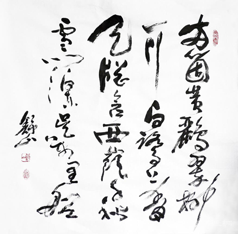 中国改革报整版报道舒山先生