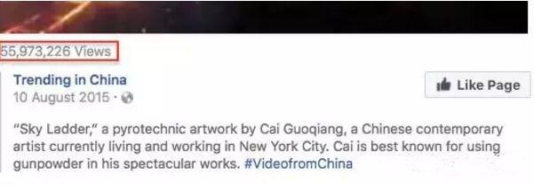 《天梯:蔡国强的艺术》上映后的反响