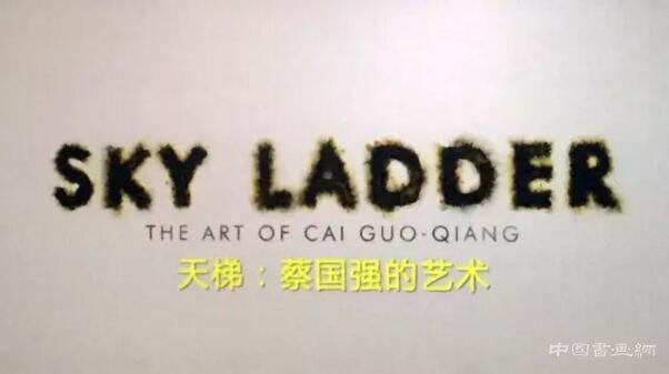 《天梯:蔡国强的艺术》上映后的反响