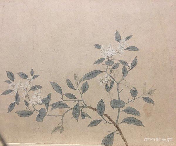 【特展】为万物造像：重识名士钱舜举