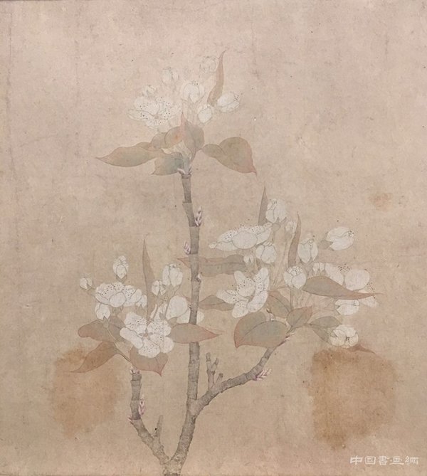 【特展】为万物造像：重识名士钱舜举