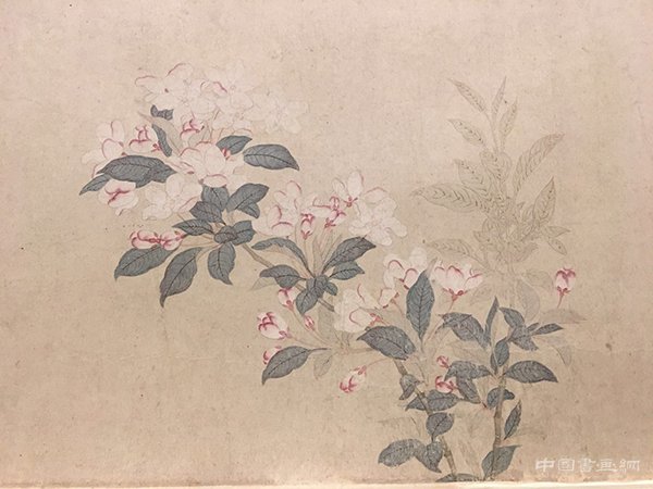 【特展】为万物造像：重识名士钱舜举